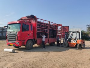 金用護(hù)欄2021年4月19日鋅鋼護(hù)窗欄桿發(fā)貨！